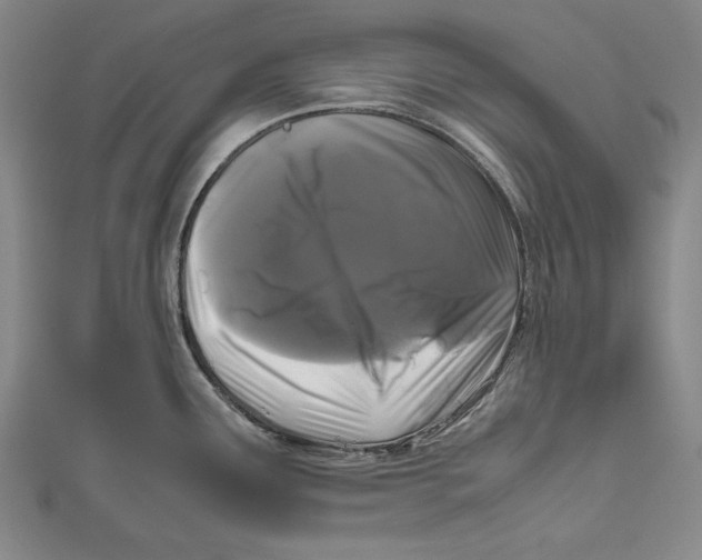 X0000111191291200907221101