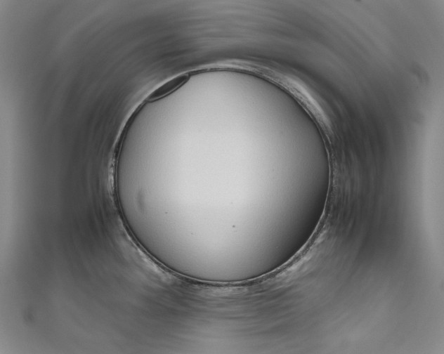 X0000111191292200907221101