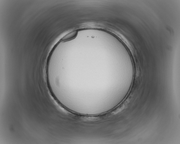 X0000111191293200907221101