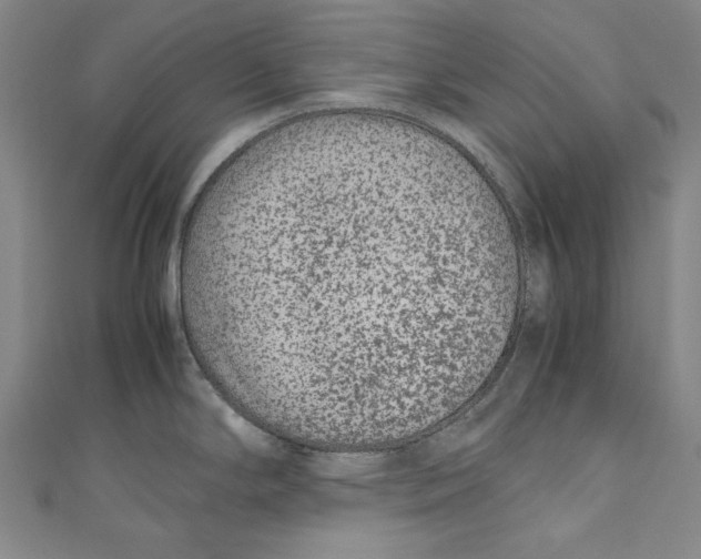 X0000111191294200907221101