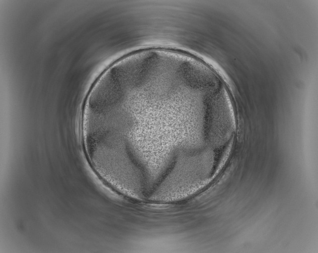 X0000111191295200907221101