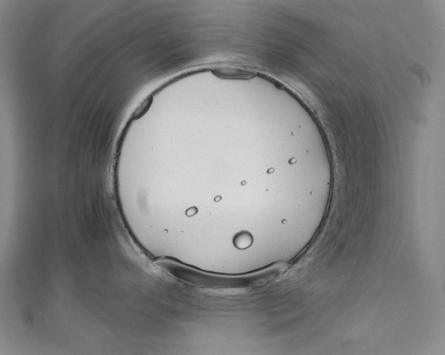 X0000111191296200907221101