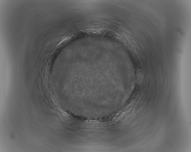 X0000111191297200907221100