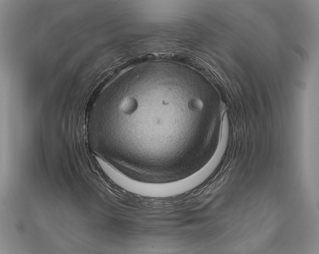 X0000111191298200907221100