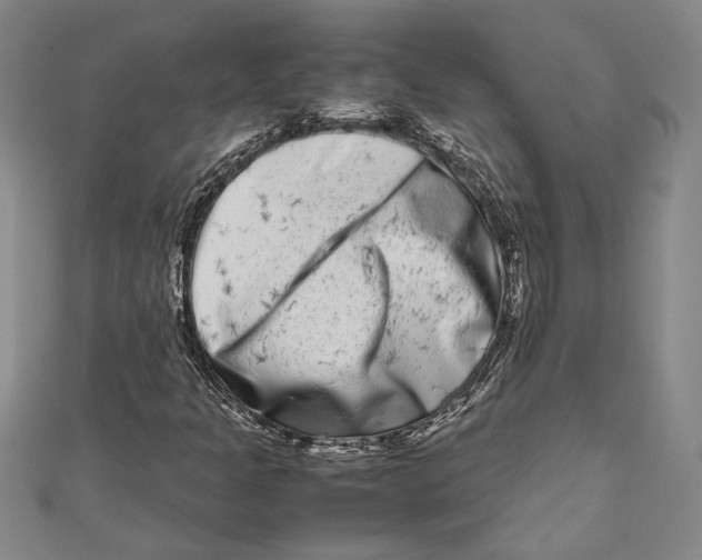 X0000111191301200907221100