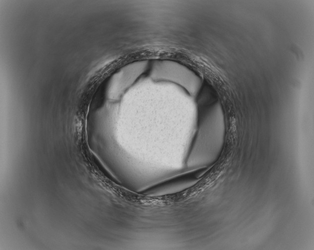 X0000111191302200907221101