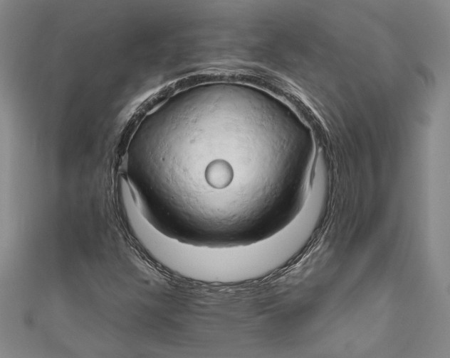 X0000111191304200907221101