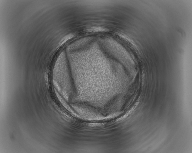 X0000111191305200907221101