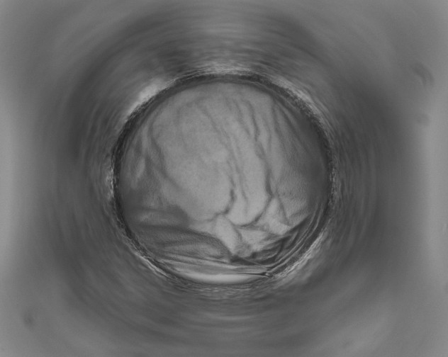 X0000111191306200907221101