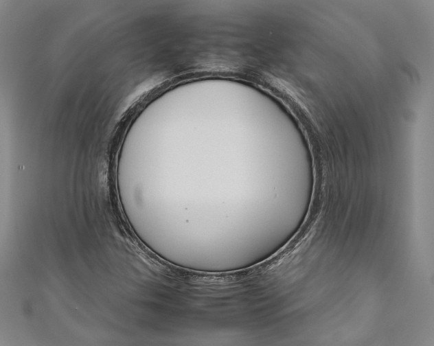 X0000111191307200907221101