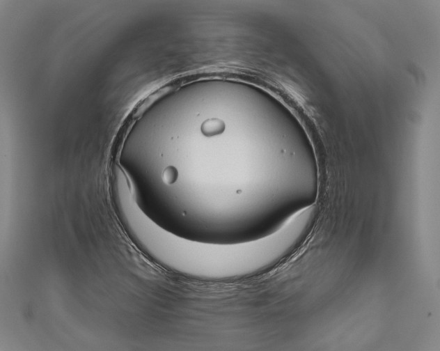 X0000111191308200907221101