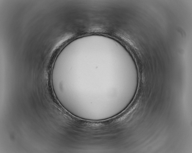 X0000111191309200907221101