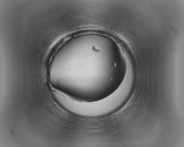 X0000111191310200907221101