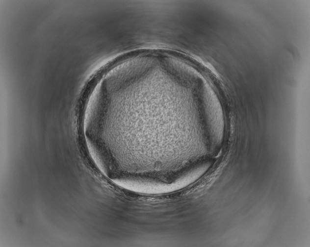 X0000111191311200907221101