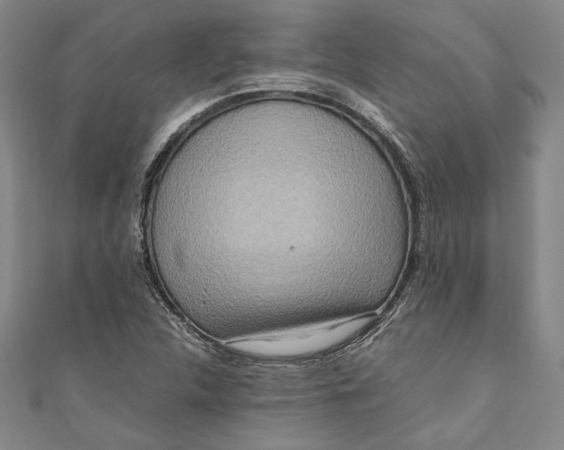 X0000111191312200907221101