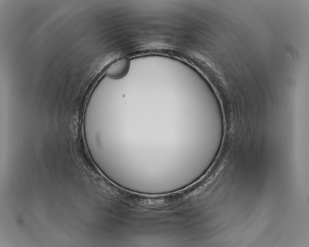 X0000111191313200907221101