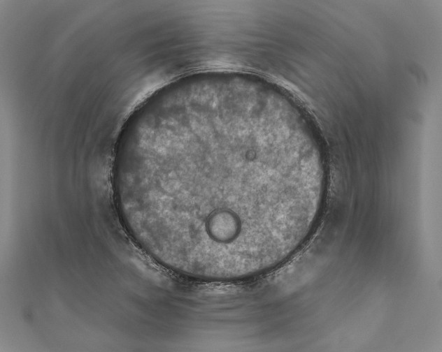 X0000111191314200907221101