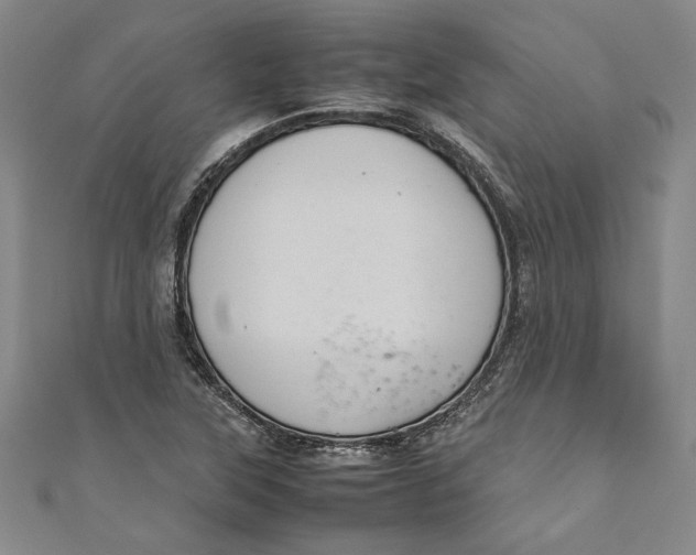 X0000111191315200907221101