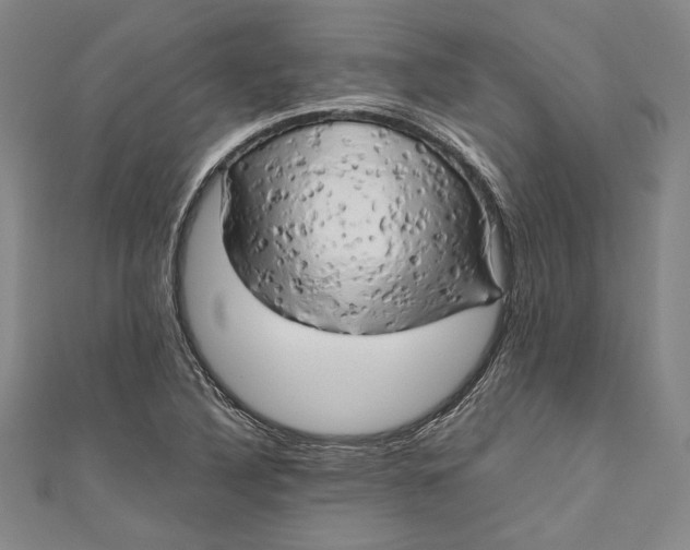 X0000111191316200907221101