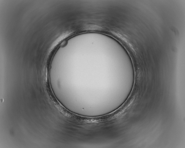 X0000111191317200907221101