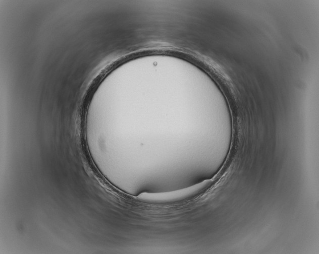 X0000111191318200907221101