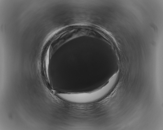 X0000111191319200907221101