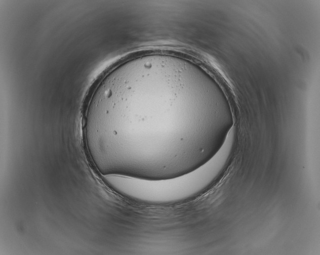 X0000111191320200907221101