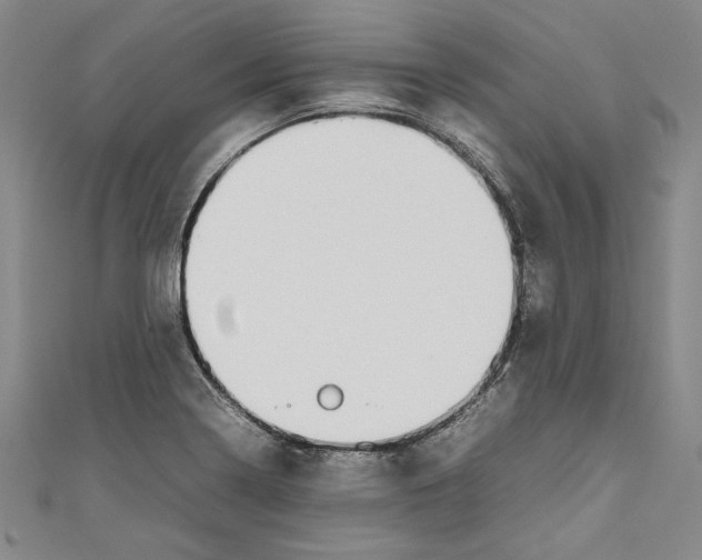 X0000111191322200907221101