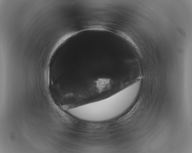 X0000111191323200907221101