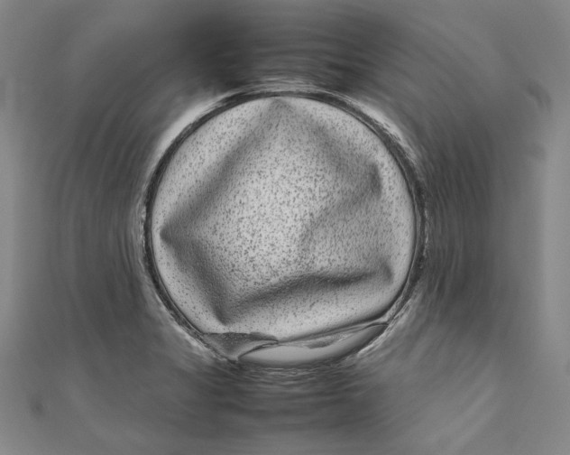 X0000111191325200907221101