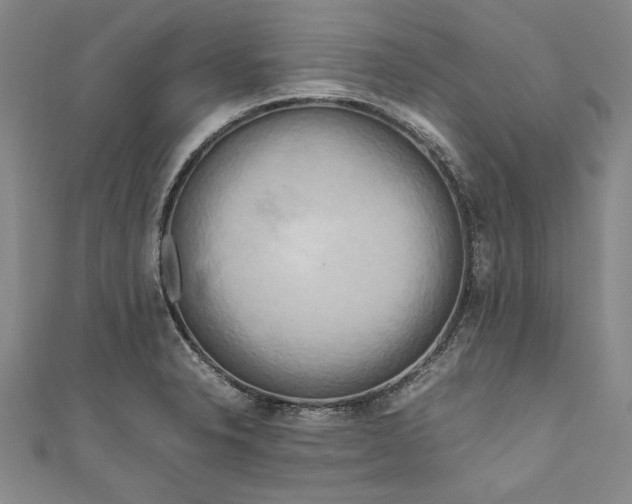 X0000111191326200907221101