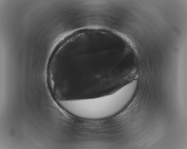 X0000111191327200907221101