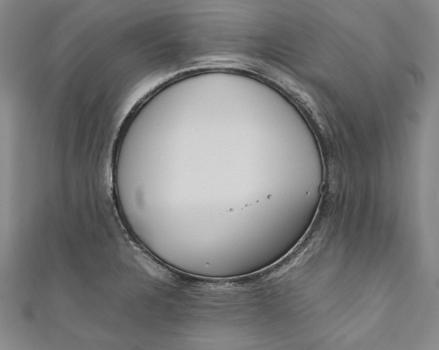 X0000111191328200907221101