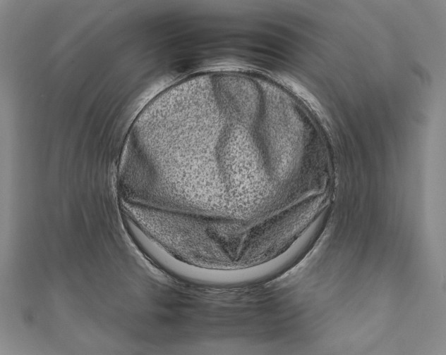 X0000111191329200907221101