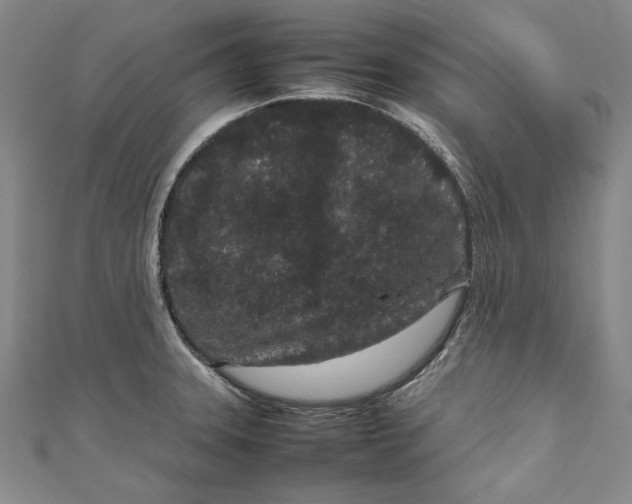 X0000111191331200907221101