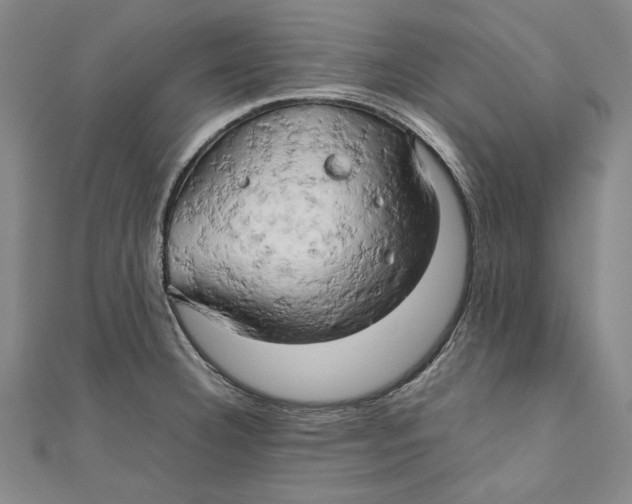 X0000111191332200907221101