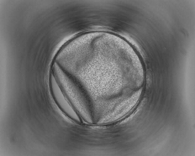 X0000111191333200907221101