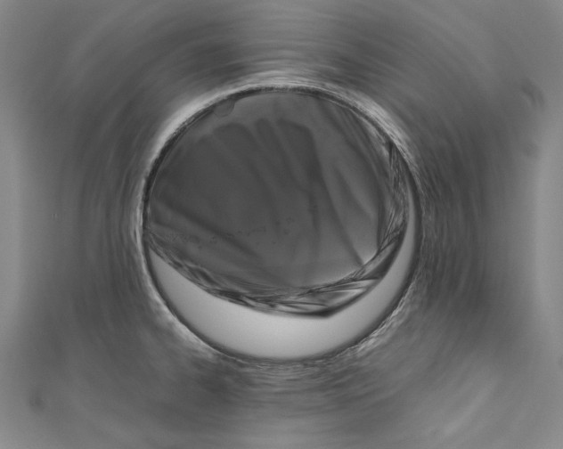 X0000111191334200907221101