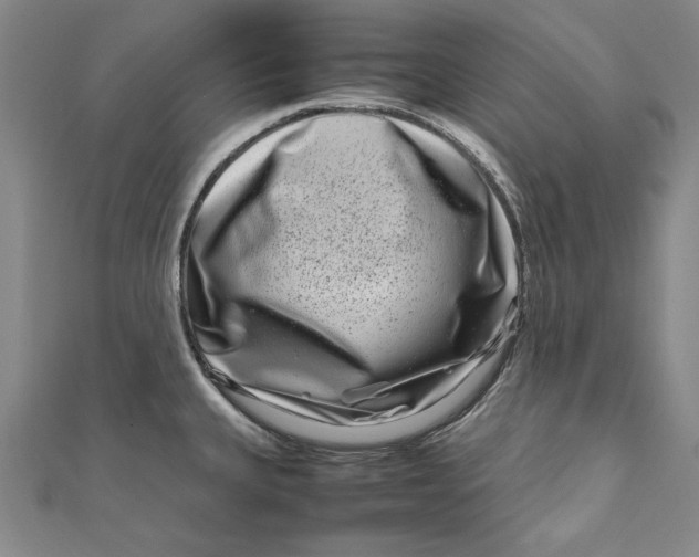 X0000111191335200907221101