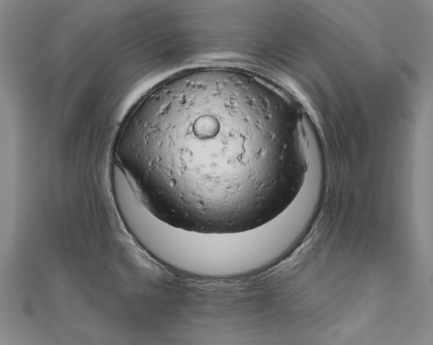 X0000111191336200907221101