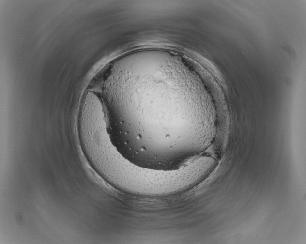 X0000111191338200907221101