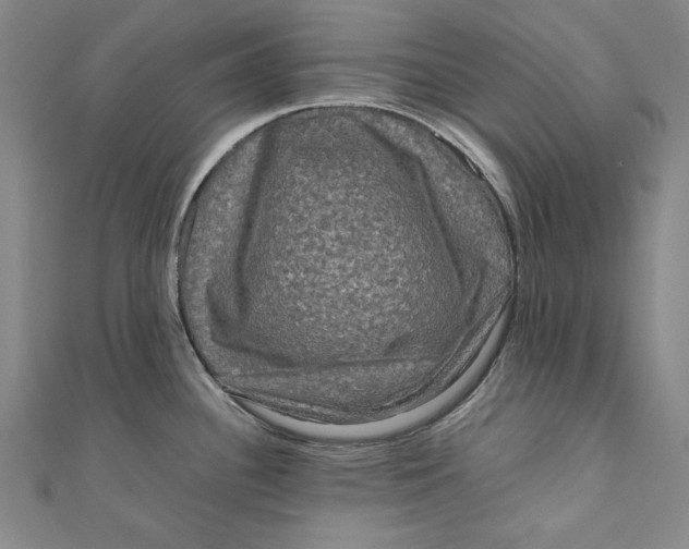 X0000111191340200907221101