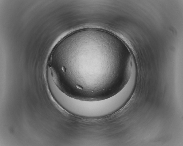 X0000111191342200907221101