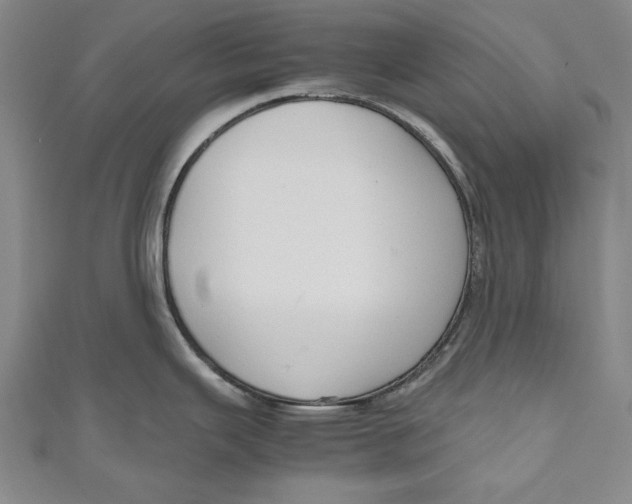 X0000111191343200907221101