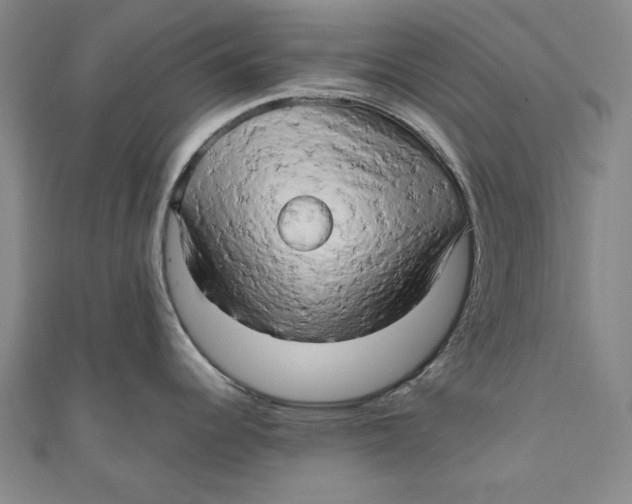 X0000111191344200907221101