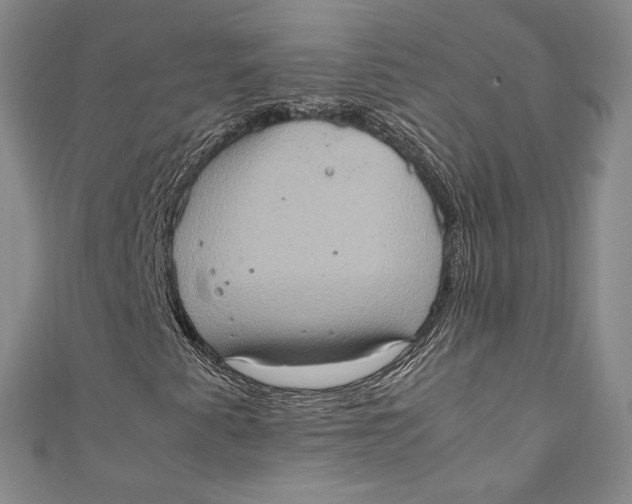 X0000111191345200907221100