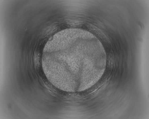 X0000111191346200907221100