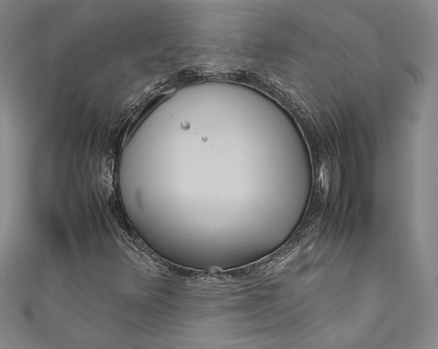 X0000111191348200907221100