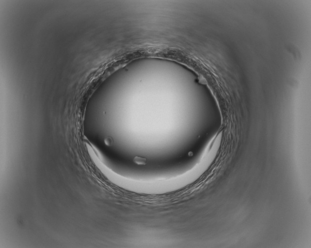 X0000111191349200907221100