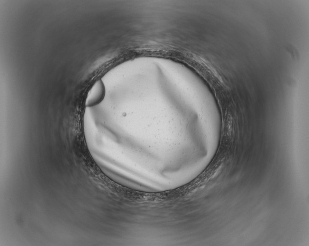 X0000111191350200907221100